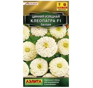 Цинния Клеопатра F1 белая 12шт (Аэлита) Р2412 *1
