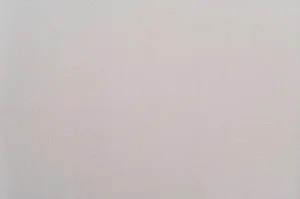 Обои горячего тиснения Артекс 10,05х1,06м Фортуна/фон бежевый 11224-02 *1/6