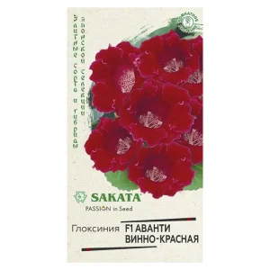 Глоксиния Аванти винно-красная F1 гранул. 5 шт. пробирка (Гавриш)