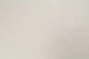 Обои горячего тиснения Palitra Family 10,05х1,06м Timi фон бежевый FM72490-22 *1/8