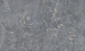 Обои горячего тиснения Аспект 10,05х1,06м Карелия декор 70631-44 *1/6