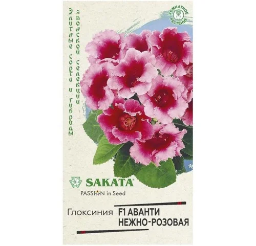 Глоксиния Аванти нежно-розовая F1 гранул. 5 шт. пробирка (Гавриш) R1515  1