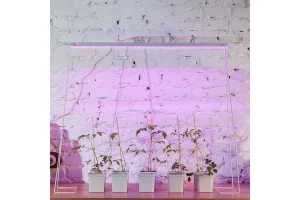 Фито светильник светодиодный для растений 24W 37мкмоль/с, алюм/пласт, с выкл. L=872мм ULI-P21-24W/SP