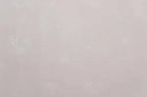 Обои горячего тиснения Артекс 10,05х1,06м Панорама/фон бежевый холодный 11273-02 *1/6