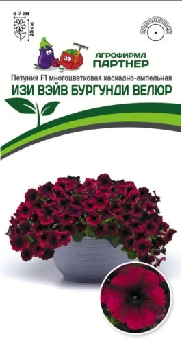 Петуния ампельная F1 Изи Вейв Бургунди Велюр (Поиск)