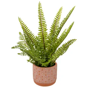 Папоротник в керамическом горшке 120х120х420мм