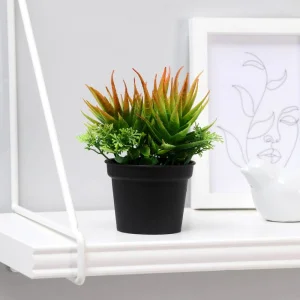 Бонсай в горшке "Суккуленты" 6,5х11см, микс 4453391 *1