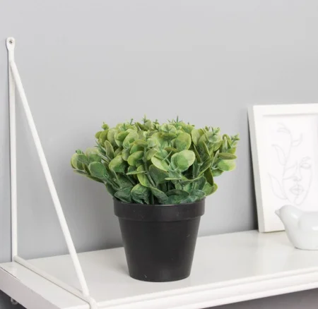 Бонсай в горшке "Цветок монетчатый" 16х10 см, зелёный 10697903 *1