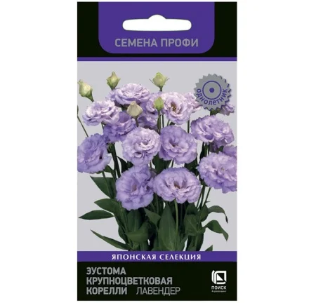 Эустома крупноцветковая Корелли Лавендер 5шт. (Поиск) R8573 *1