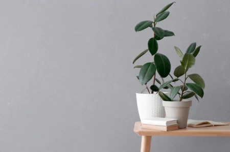 Обои компакт-винил David VV72261-65 1,06х10м штукатурка серые