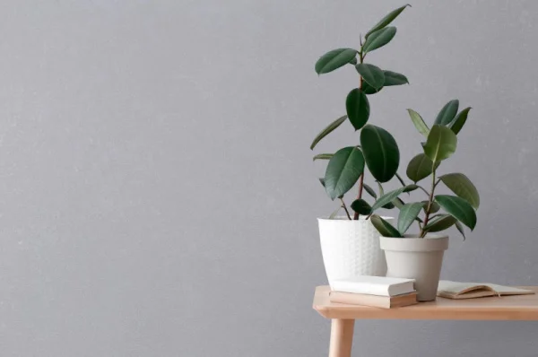 Обои компакт-винил David VV72261-65 1,06х10м штукатурка серые