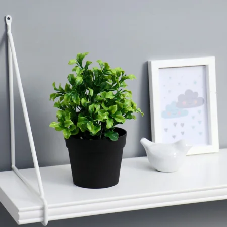 Бонсай в горшке "Крупнолист" 19 см 5664388 *1