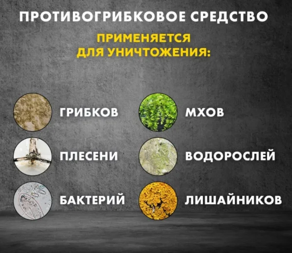 Средство противогрибковое Церезит CT 99 1л