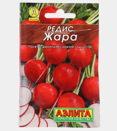 Редис Жара, 3г (Аэлита) Б2121 *1