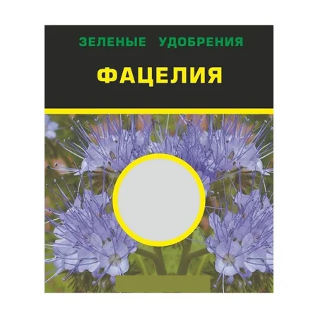 дад