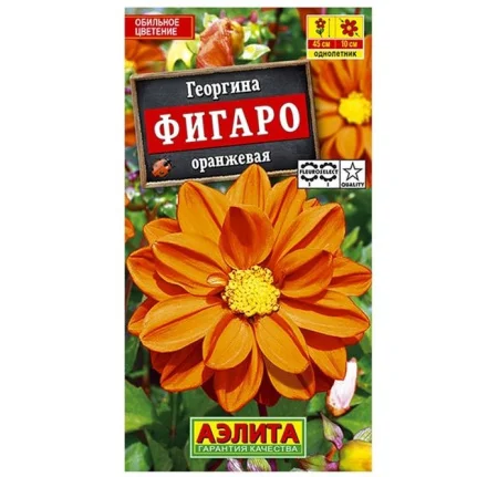 Георгина Фигаро махровая оранжевая  7шт (Аэлита) R9369 *1