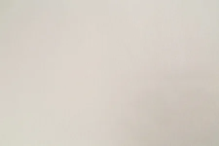 Обои горячего тиснения Palitra Family 10,05х1,06м Timi фон бежевый FM72490-22 *1/8