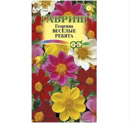 Георгина Веселые ребята 0,3 г (Гавриш) R0945  1