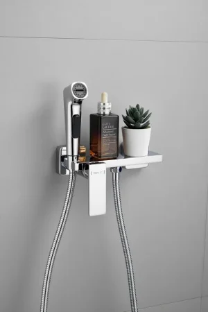 Смеситель д/гигиенич. душа одноруч. хром B55653 (Belz) *1