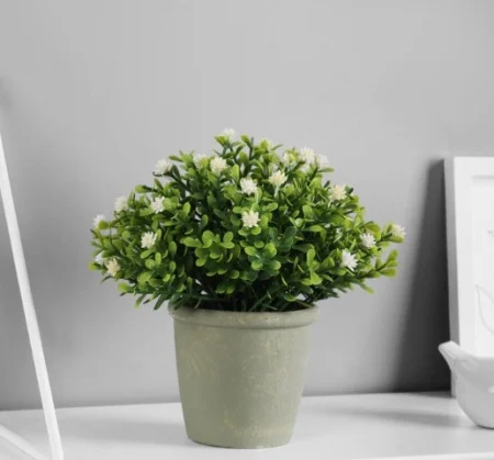 Бонсай в горшке "Цветочная симфония" 8х17 см, микс 9750528