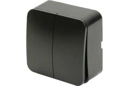 Выключатель 2-кл "София" ОП 250В 10А IP20 черный матовый MSW10-20-05 Stekker *1