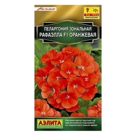 Пеларгония Рафаэлла F1 оранжевая  5шт (Аэлита)