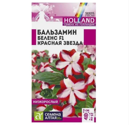 Бальзамин Беленс Красная звезда, 4 шт. (Семена Алтая) V1924  1