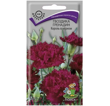 Гвоздика Гренадин Король в черном (Поиск) R8388 *1