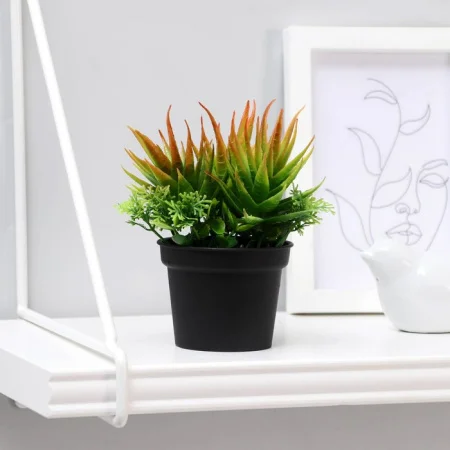 Бонсай в горшке "Суккуленты" 6,5х11см, микс 4453391 *1