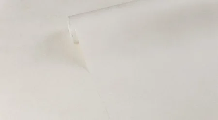 Обои горячего тиснения Аспект 10,05х1,06м Дюна фон белый 70655-11 *1/6