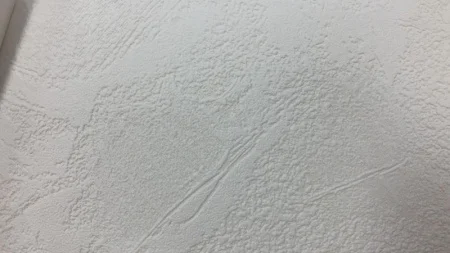 Обои под покраску Палитра 422-01 Colorist 1,06х25м 105 г/м² штукатурка крупная