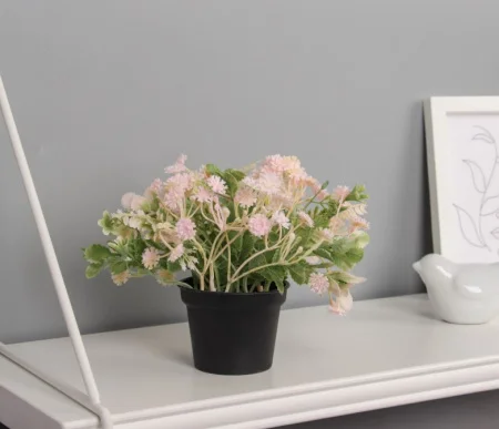 Бонсай в горшке "Блехнум галант" 14х7 см, 10697874