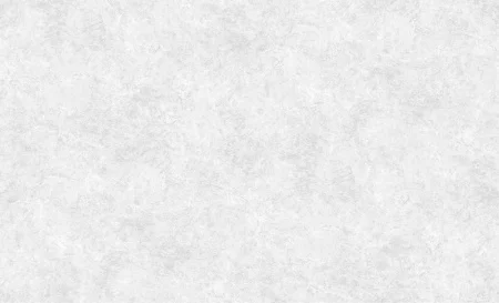 Обои горячего тиснения Erismann 10,05х1,06м Profi Deco Maison фон серый 60846-03 *1/6