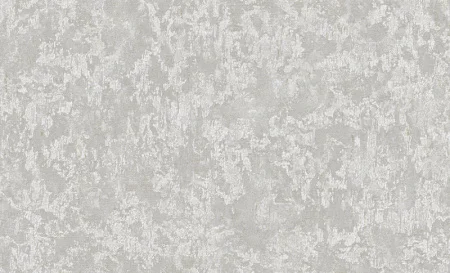 Обои горячего тиснения Erismann 10,05х1,06м Vlies Line Exclusive Amoricci фон серый 60816-06 *1/6