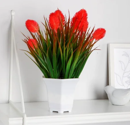 Бонсай в горшке "Лагурус комнатный" 11х25 см, микс 10084541