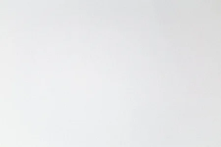 Обои горячего тиснения Palitra Family 10,05х1,06м Malma фон белый FM72512-11 *1/6