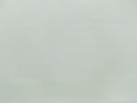 Обои горячего тиснения Elysium 10,05х1,06м Фокс фон Е203720 *1/4