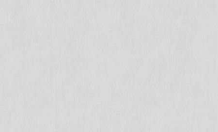 Обои горячего тиснения Erismann 10,05х1,06м Basic Etel фон серый 60980-05 *1/6