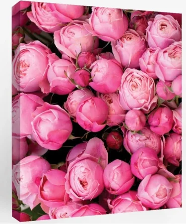 Картина "Воздушные бутоны" 40х50см kt45-13248 *1