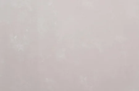 Обои горячего тиснения Артекс 10,05х1,06м Панорама/фон бежевый холодный 11273-02 *1/6