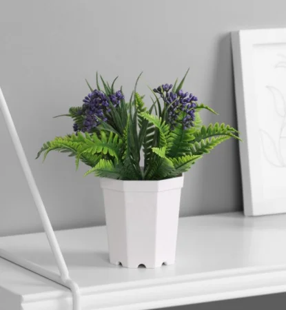 Бонсай в горшке "Папоротник галант элегант" 7х12 см, микс 10325093