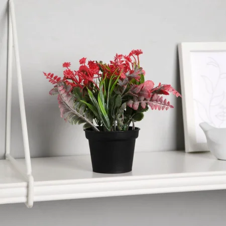 Бонсай в горшке "Скабиоза" 7х14 см, микс 9750535